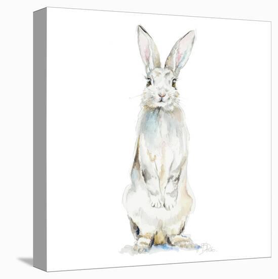 Cute Rabbit-Patricia Pinto-Stretched Canvas