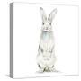 Cute Rabbit-Patricia Pinto-Stretched Canvas