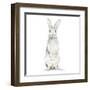 Cute Rabbit-Patricia Pinto-Framed Art Print