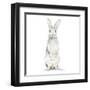Cute Rabbit-Patricia Pinto-Framed Art Print