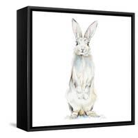 Cute Rabbit-Patricia Pinto-Framed Stretched Canvas