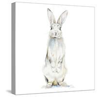 Cute Rabbit-Patricia Pinto-Stretched Canvas