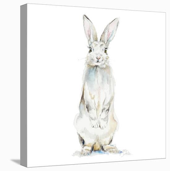 Cute Rabbit-Patricia Pinto-Stretched Canvas