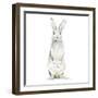 Cute Rabbit-Patricia Pinto-Framed Art Print