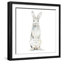 Cute Rabbit-Patricia Pinto-Framed Art Print