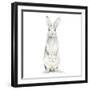 Cute Rabbit-Patricia Pinto-Framed Art Print