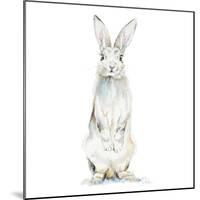 Cute Rabbit-Patricia Pinto-Mounted Art Print