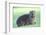 Cute Rock Hyrax Animal-Four Oaks-Framed Photographic Print