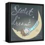 Cute Sleeping Girl on the Moon-Elena Barenbaum-Framed Stretched Canvas