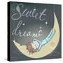 Cute Sleeping Girl on the Moon-Elena Barenbaum-Stretched Canvas