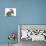 Cute Sleepy Tabby Kitten, Stanley, 6 Weeks, with Netherland Dwarf Rabbit-Mark Taylor-Photographic Print displayed on a wall