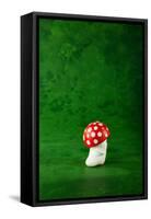 Cute Small Mushroom, Green Background-zveiger-Framed Stretched Canvas