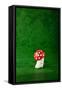 Cute Small Mushroom, Green Background-zveiger-Framed Stretched Canvas