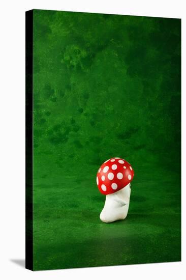 Cute Small Mushroom, Green Background-zveiger-Stretched Canvas
