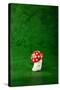 Cute Small Mushroom, Green Background-zveiger-Stretched Canvas