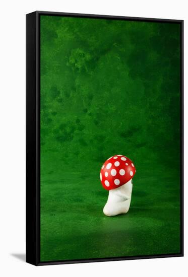 Cute Small Mushroom, Green Background-zveiger-Framed Stretched Canvas
