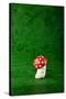 Cute Small Mushroom, Green Background-zveiger-Stretched Canvas
