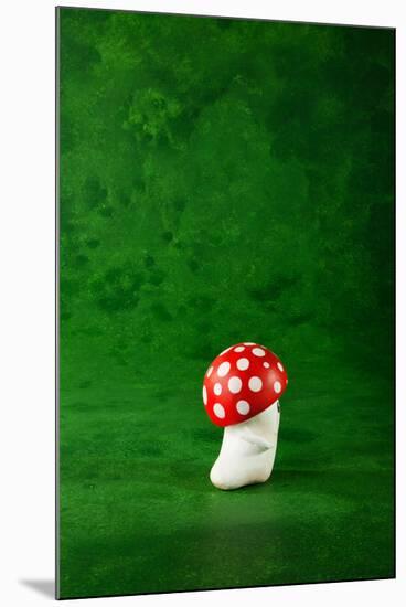 Cute Small Mushroom, Green Background-zveiger-Mounted Photographic Print
