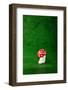 Cute Small Mushroom, Green Background-zveiger-Framed Photographic Print