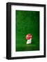 Cute Small Mushroom, Green Background-zveiger-Framed Photographic Print