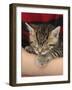 Cute Tabby Kitten, Stanley, 6 Weeks, Asleep in Someone's Arms-Mark Taylor-Framed Photographic Print