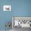 Cute Tabby Kitten, Stanley, 6 Weeks Old, Walking Across-Mark Taylor-Photographic Print displayed on a wall