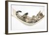 Cute Tabby Kitten, Stanley, 7 Weeks, Sleeping in a Hammock-Mark Taylor-Framed Photographic Print