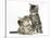 Cute Tabby Kittens, Stanley and Fosset, 9 Weeks-Mark Taylor-Stretched Canvas