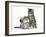 Cute Tabby Kittens, Stanley and Fosset, 9 Weeks-Mark Taylor-Framed Photographic Print