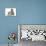 Cute Tabby Kittens, Stanley and Fosset, 9 Weeks-Mark Taylor-Mounted Photographic Print displayed on a wall