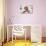 Cute Toy Poodle Resting on Bed-Lim Tiaw Leong-Photographic Print displayed on a wall