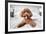 Cute Toy Poodle Resting on Bed-Lim Tiaw Leong-Framed Photographic Print