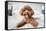 Cute Toy Poodle Resting on Bed-Lim Tiaw Leong-Framed Stretched Canvas