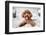 Cute Toy Poodle Resting on Bed-Lim Tiaw Leong-Framed Photographic Print