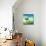 Cute Tree II-Patricia Pinto-Mounted Art Print displayed on a wall