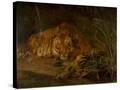 Stretched Canvas