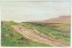 On the Marsh Near Lodore, Cumberland, 1924-1926-Cuthbert Rigby-Giclee Print