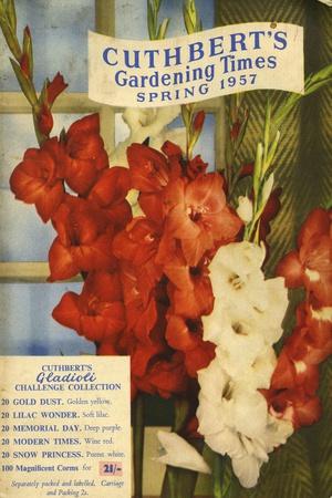 https://imgc.allpostersimages.com/img/posters/cuthbert-s-gardening-times-1957-uk_u-L-Q1IZSCB0.jpg?artPerspective=n