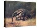 Stretched Canvas