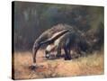 Stretched Canvas
