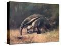 Stretched Canvas