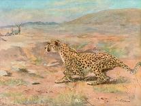 Cheetah in the Wild-Cuthbert Swan-Art Print