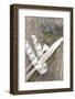 Cutlery, Flowers, Decoration Ribbon-Jule Leibnitz-Framed Photographic Print