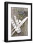 Cutlery, Flowers, Decoration Ribbon-Jule Leibnitz-Framed Photographic Print