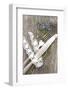 Cutlery, Flowers, Decoration Ribbon-Jule Leibnitz-Framed Photographic Print