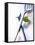 Cutlery with a Corn Salad Leaf-Dorota & Bogdan Bialy-Framed Stretched Canvas