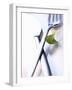 Cutlery with a Corn Salad Leaf-Dorota & Bogdan Bialy-Framed Photographic Print