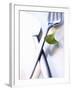 Cutlery with a Corn Salad Leaf-Dorota & Bogdan Bialy-Framed Photographic Print