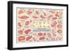 Cuts of Beef Chart-null-Framed Art Print