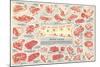 Cuts of Beef Chart-null-Mounted Art Print